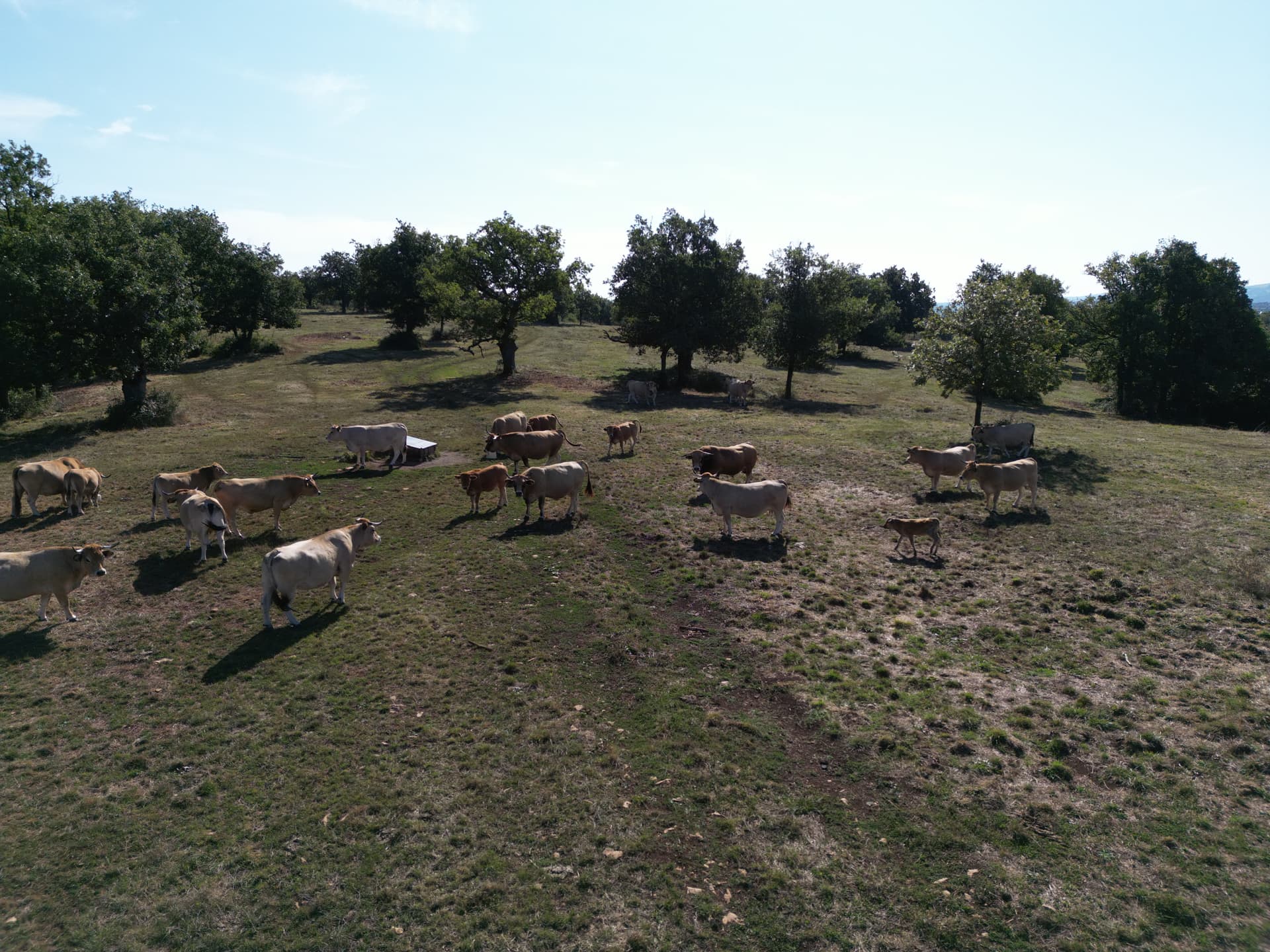 Nuotraukos aut. Ričardas Skorupskas_2024-08.JPG