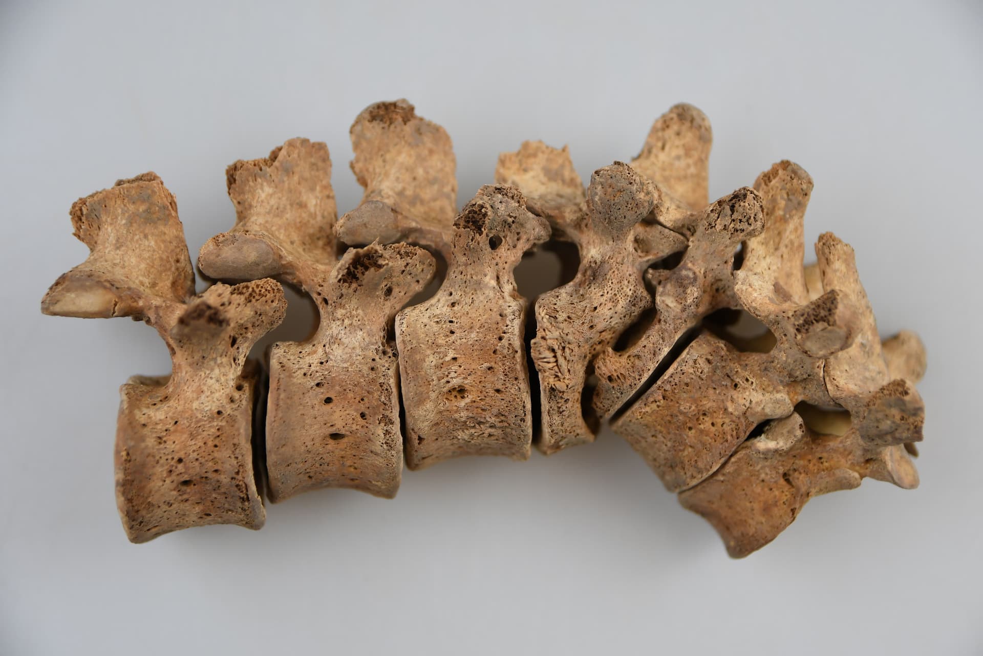 Subačiaus g. 7_vyras_20-25.JPG