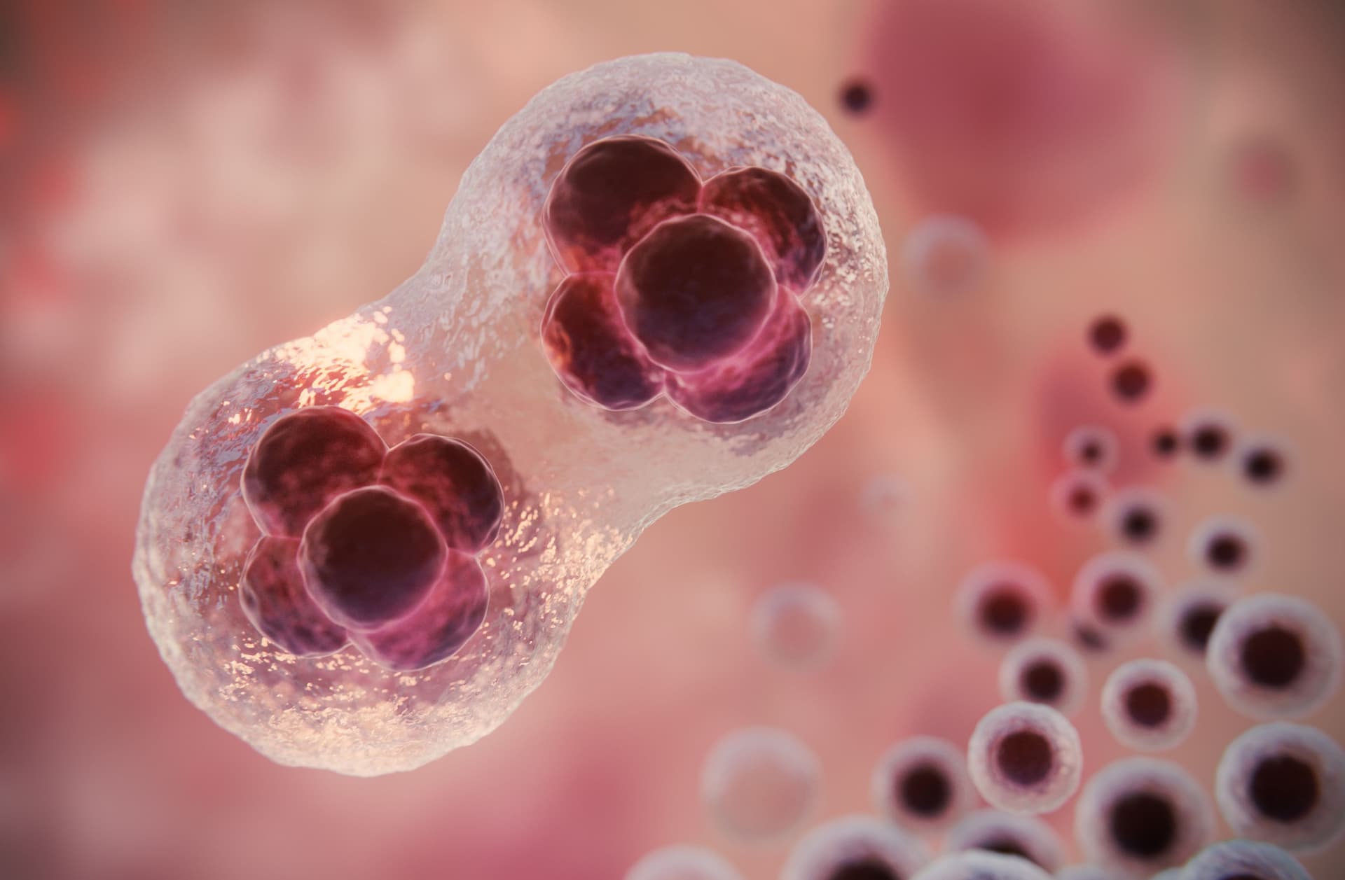 bbeautiful-fertility-concept-3d-rendering.jpg