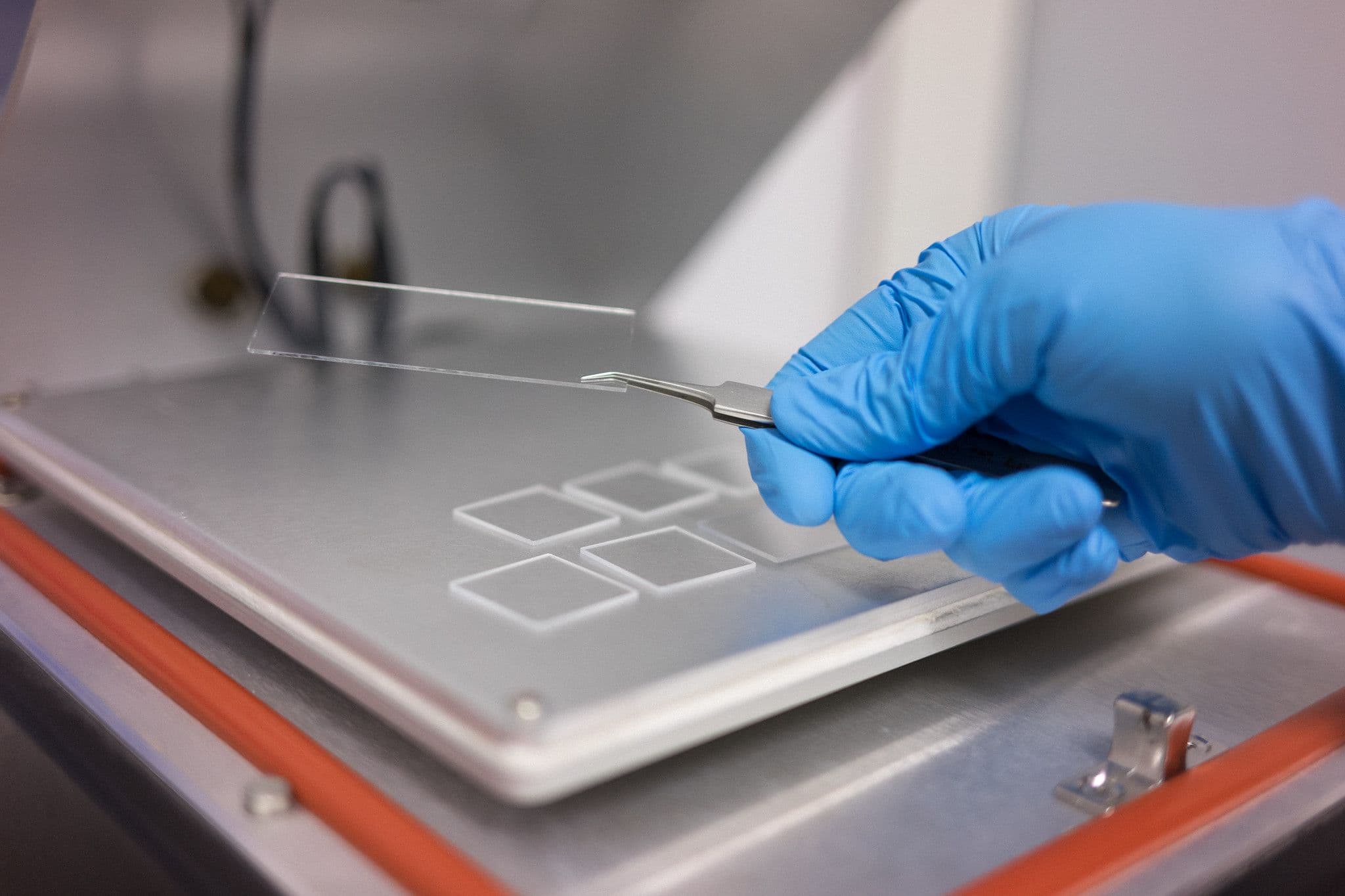 VU moksliniai tyrimai